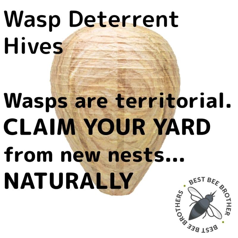 Best Bee Brothers Natural Wasp Deterrent Hives - Protect Your Yard from territorial wasps