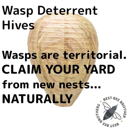 Best Bee Brothers Natural Wasp Deterrent Hives - Protect Your Yard from territorial wasps