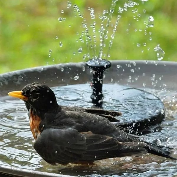 💥Solar Powered Water Fountain