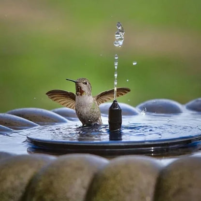 💥Solar Powered Water Fountain
