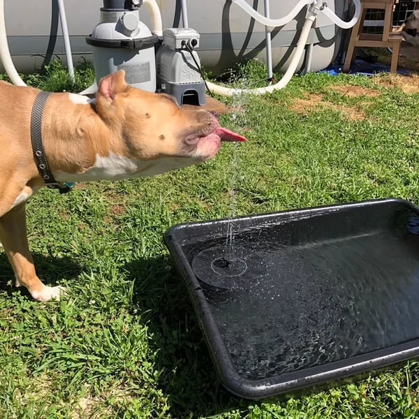 💥Solar Powered Water Fountain